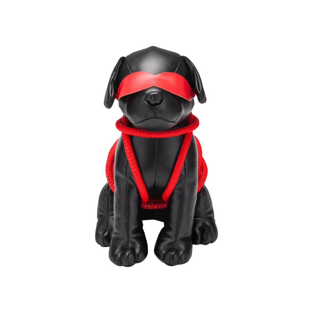 Roped Up Rover - SM Hond - foto 4