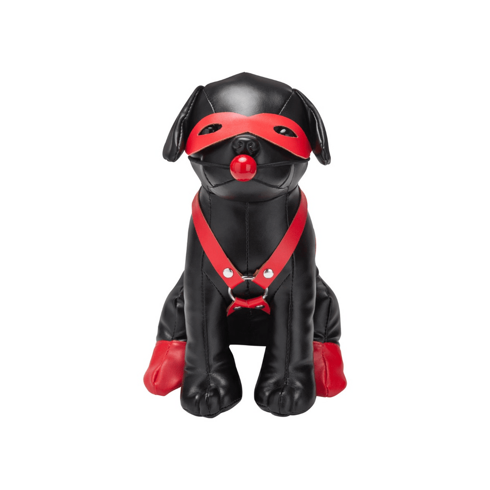 Booted Up Bandit - BDSM Hond - foto 3