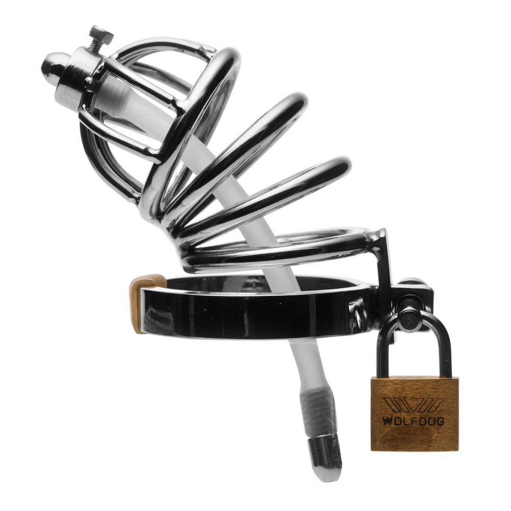 Stainless Steel kuisheidskooi