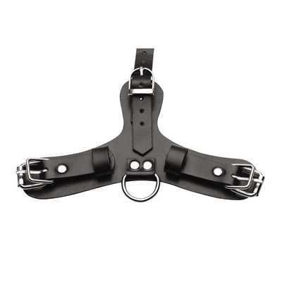 Puppy Play masker met ball gag