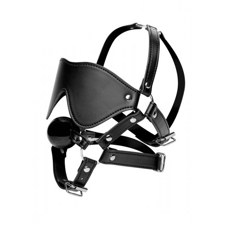 Eye Mask Harness with Ball Gag