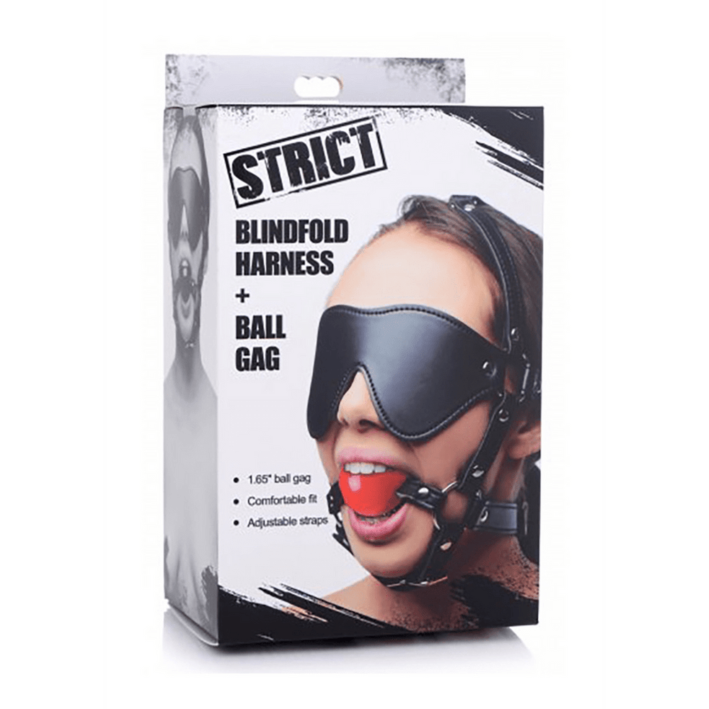 ST Blinddoek Harnas met Ball Gag - foto 4