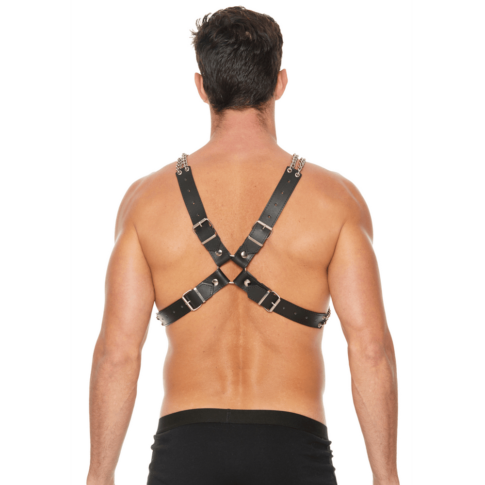 Chain and Chain Harness - foto 2