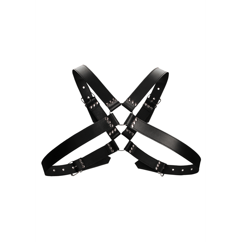Leather Harness with Large Buckle - One Size - foto 5