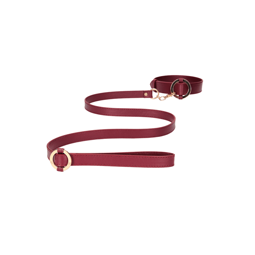 Luxurious Collar with Leash - foto 5