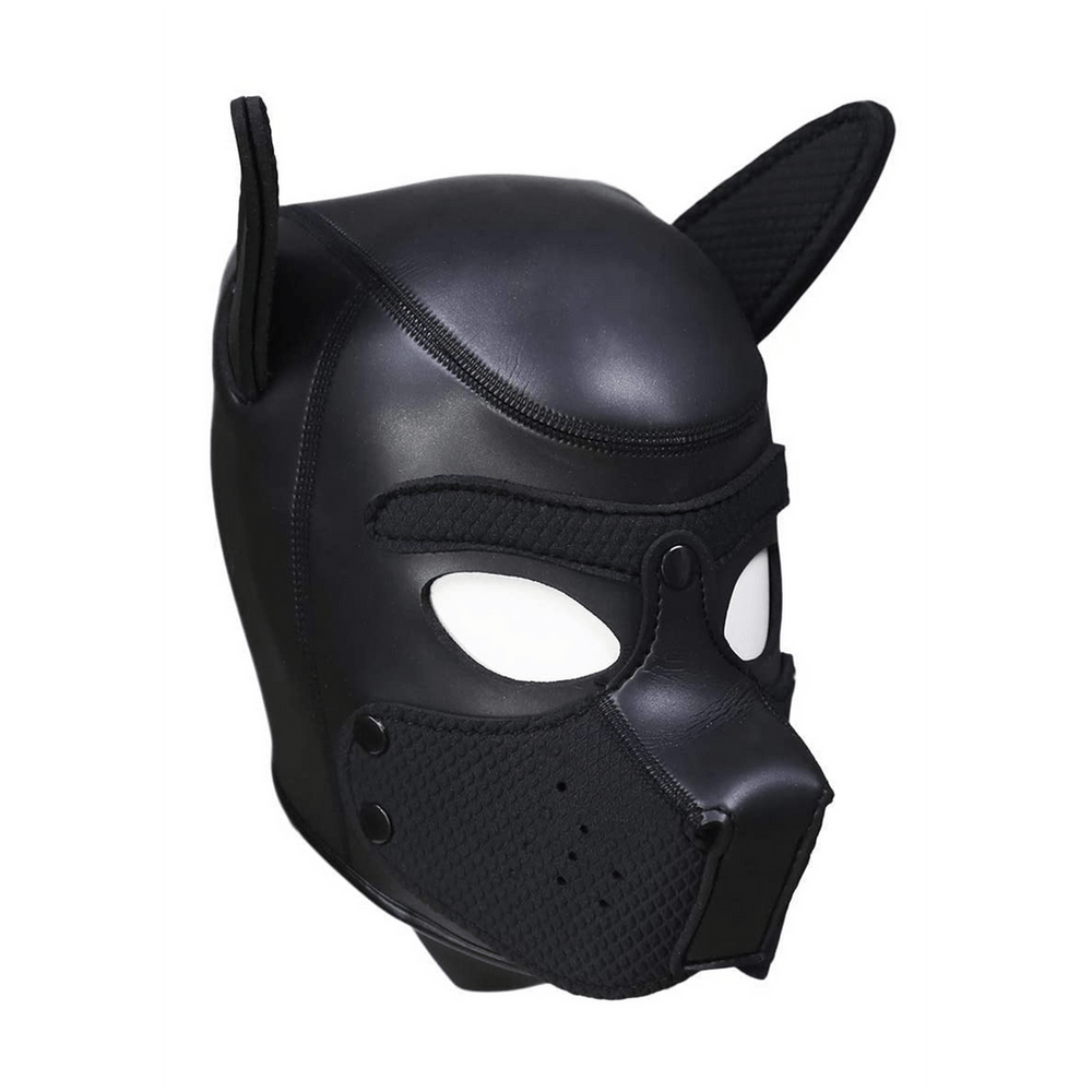 Neoprene Puppy Kit - foto 2