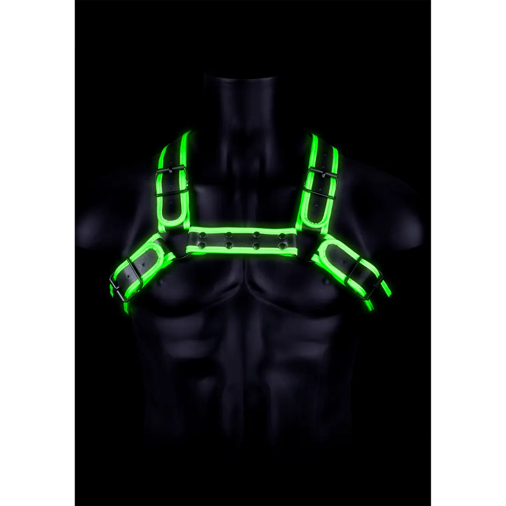 Bulldog Harnas met Gesp - Glow in the Dark
