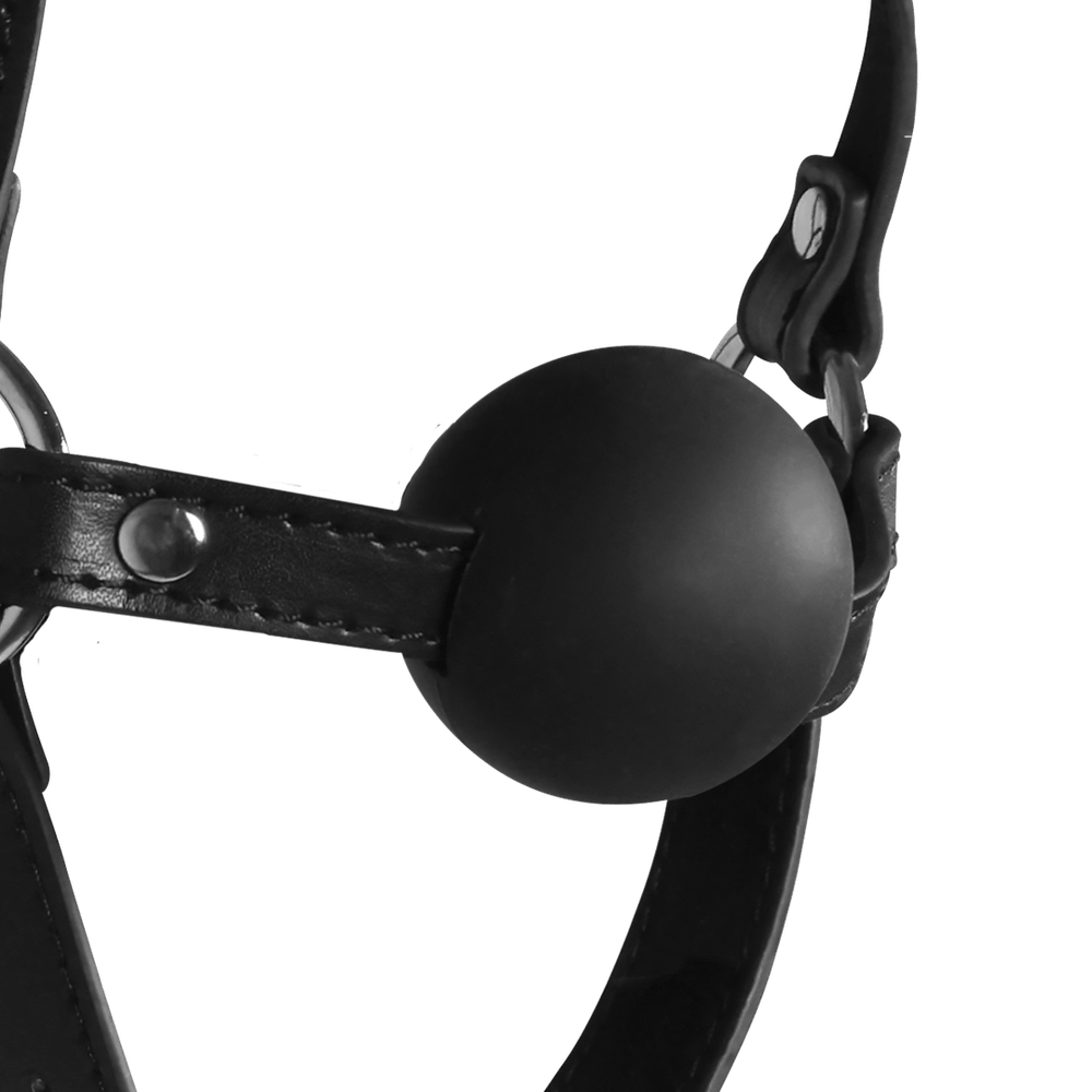 Geblinddoekt Hoofdharnas met Ballgag - foto 5