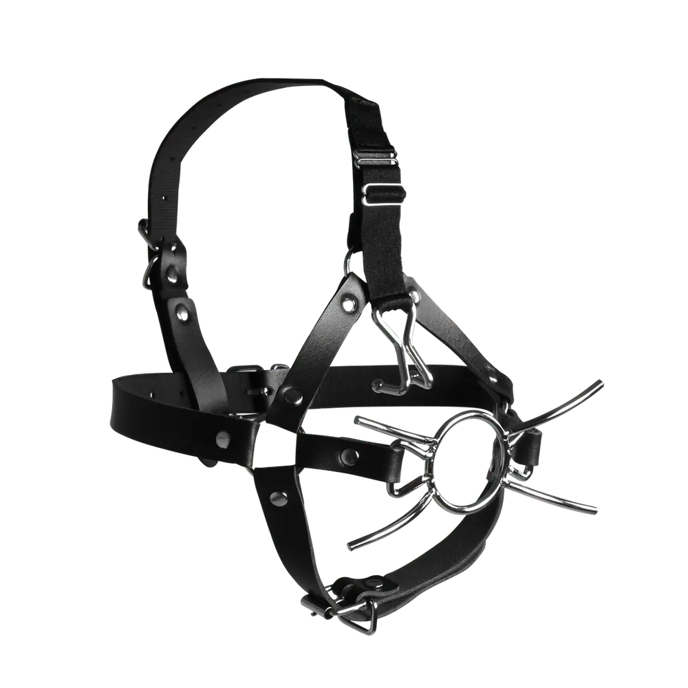 BDSM Masker met Spider Gag & Neushaken - foto 2
