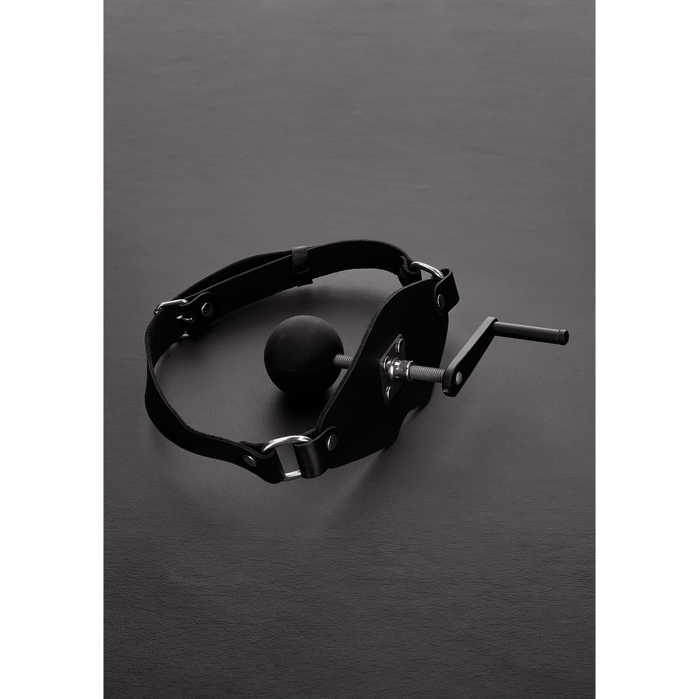 Killer Mouth Gag