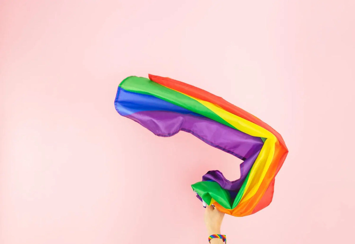 LGBTQ+ seksspeeltjes
