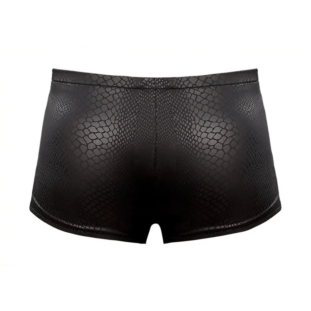 Male Power - Mini Short - foto 20