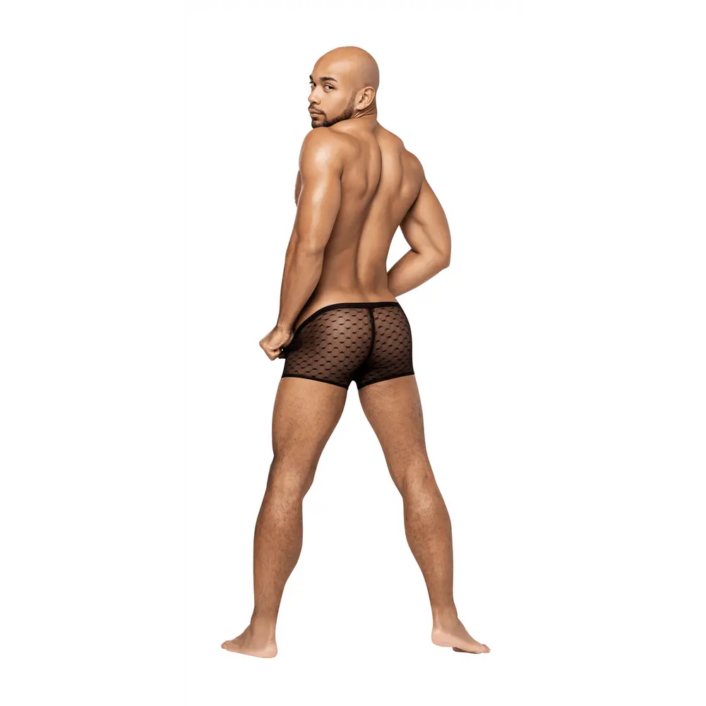 Male Power - Mini Short - foto 18