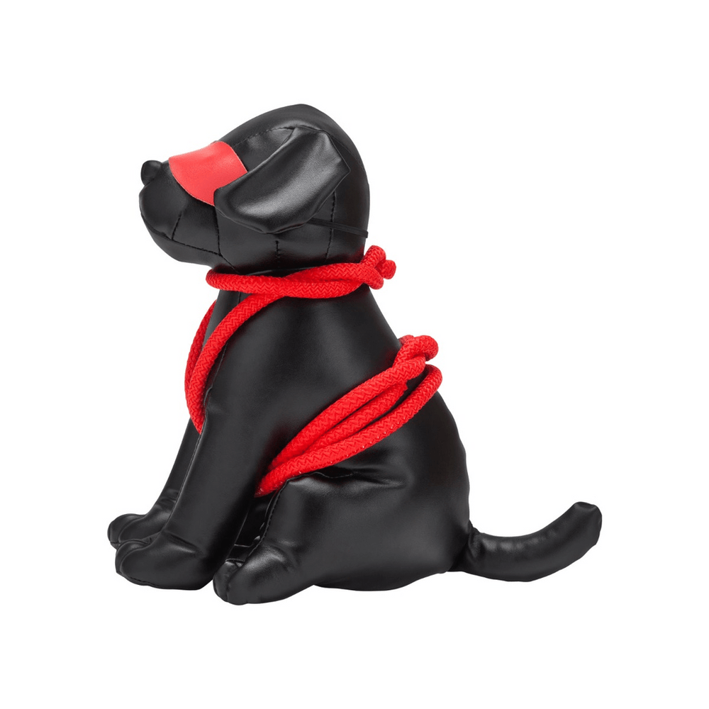 Roped Up Rover - SM Hond - foto 2