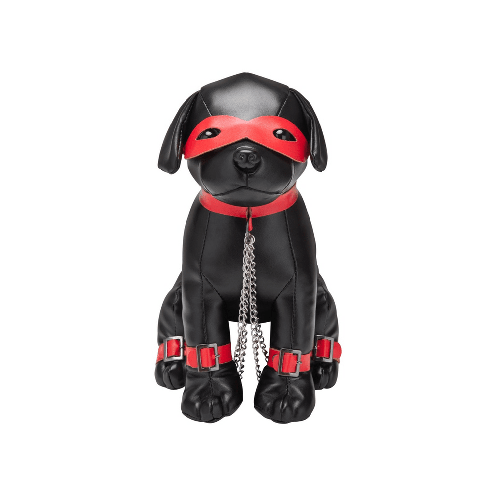 Captain Chains - BDSM Hond - foto 4
