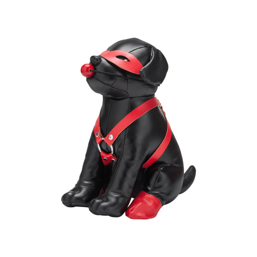 Booted Up Bandit BDSM hond