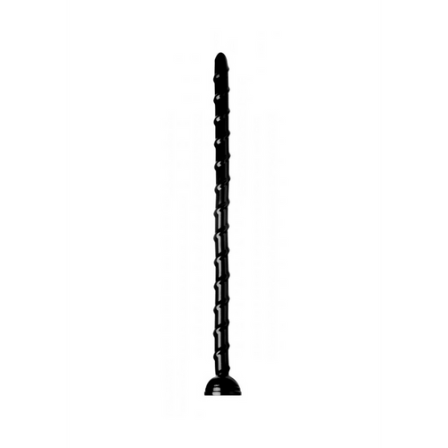 Vertebral Snake - 18 / 46 cm