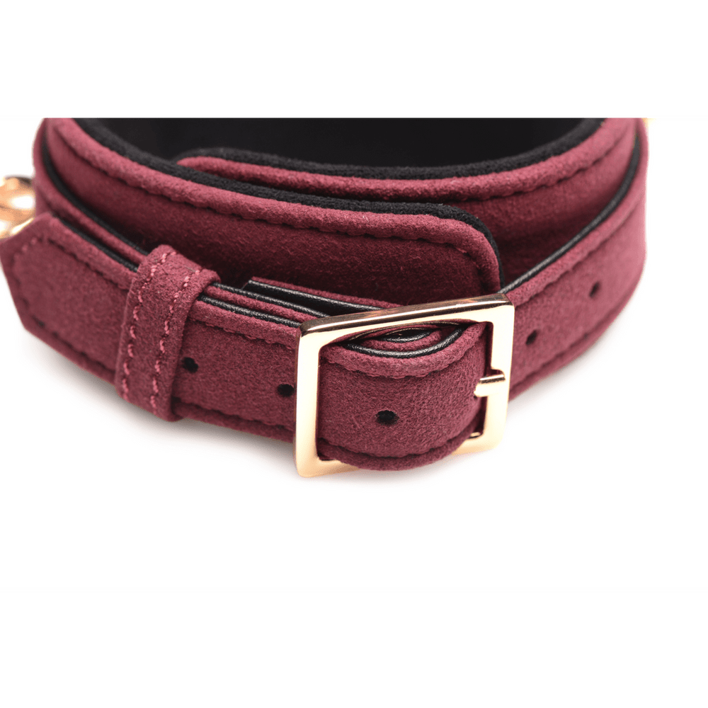 Collar and Belt
