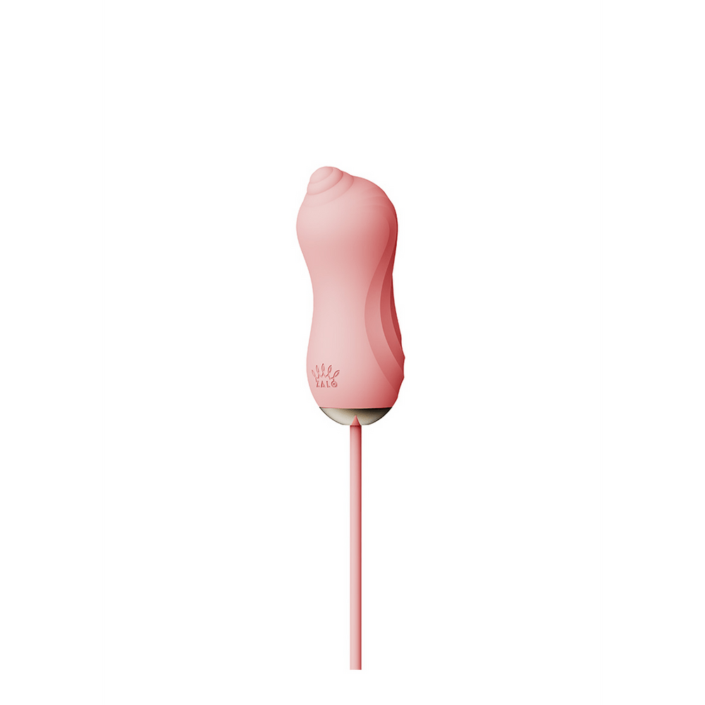 Zuigende Vibrator met Pomp en Opzetstukken - foto 2