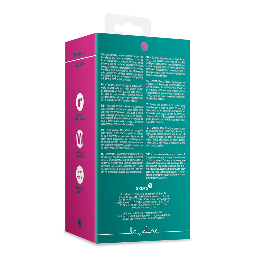 Mini Wand Vibrator - Oude Zee