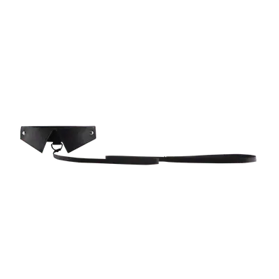 Exclusive Collar  Leash