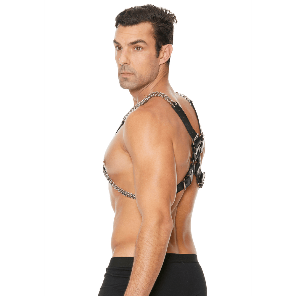 Chain and Chain Harness - foto 3
