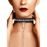 Diamond Studded Collar with Leash