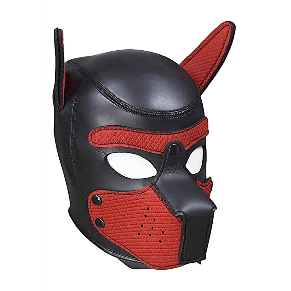 Neoprene Puppy Kit - foto 17