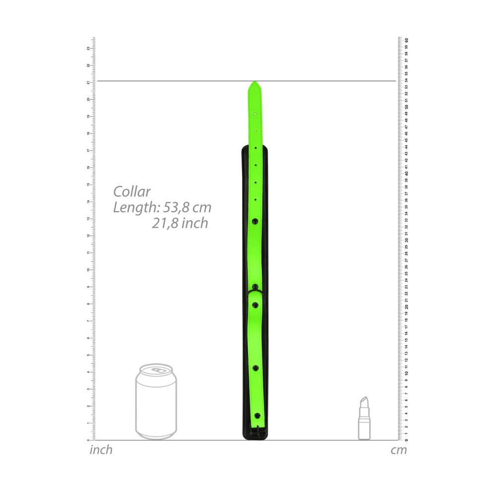 Collar and Leash - Glow in the Dark - foto 6