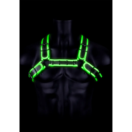 Bulldog Harnas met Gesp - Glow in the Dark