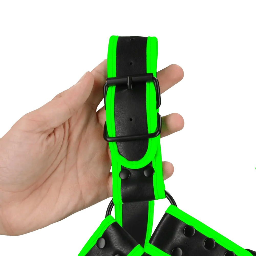 Bulldog Harnas met Gesp - Glow in the Dark - foto 3