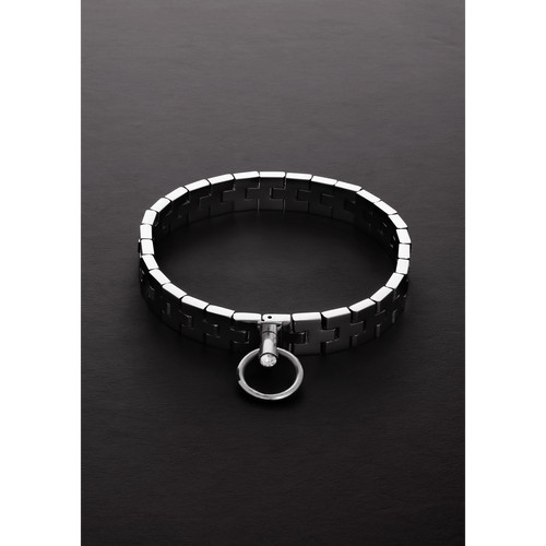 Watchband Collar with Lock - 17 / 43 cm