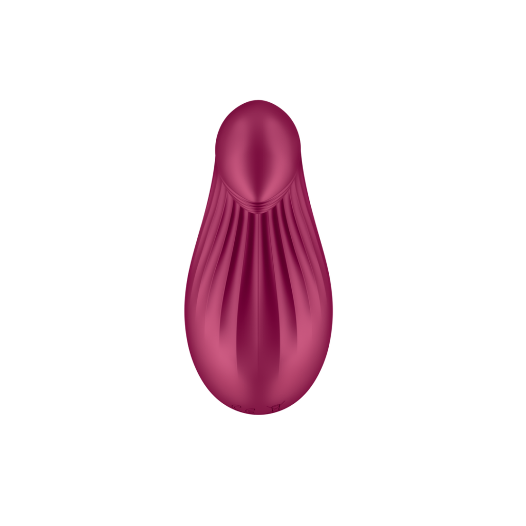 Satisfyer - Dipping Delight - Lay-on Vibrator