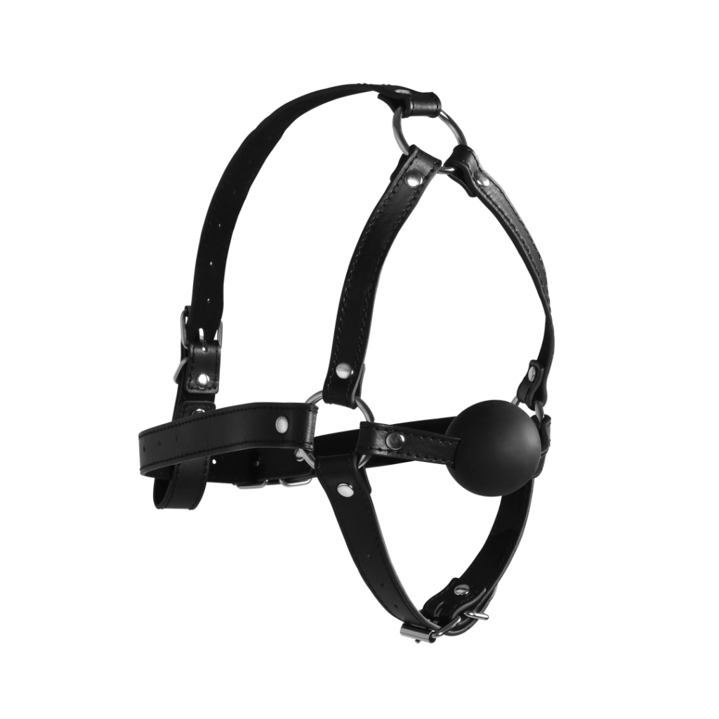 BDSM Masker met Solid Ballgagg - Zwart