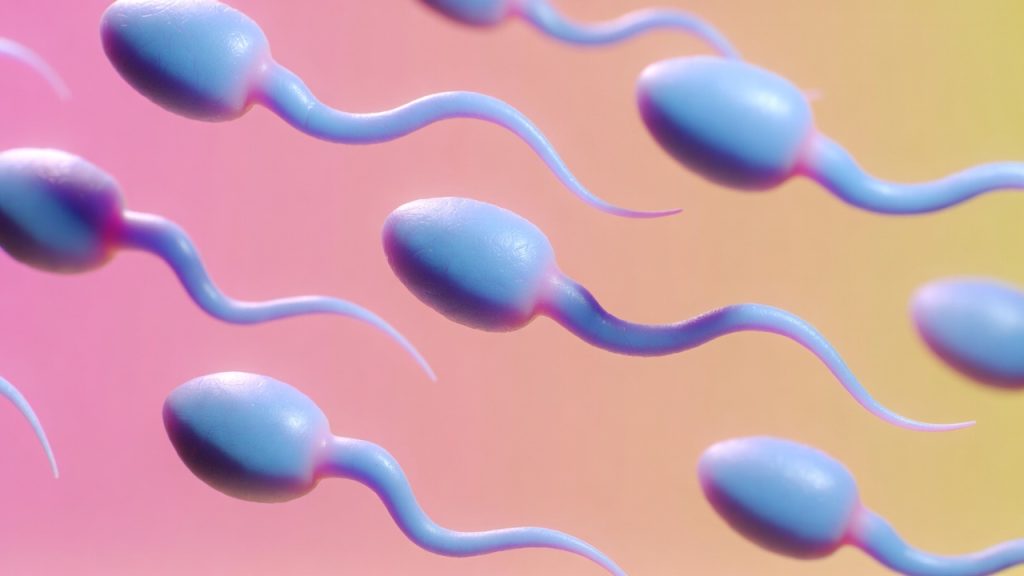 meer sperma produceren