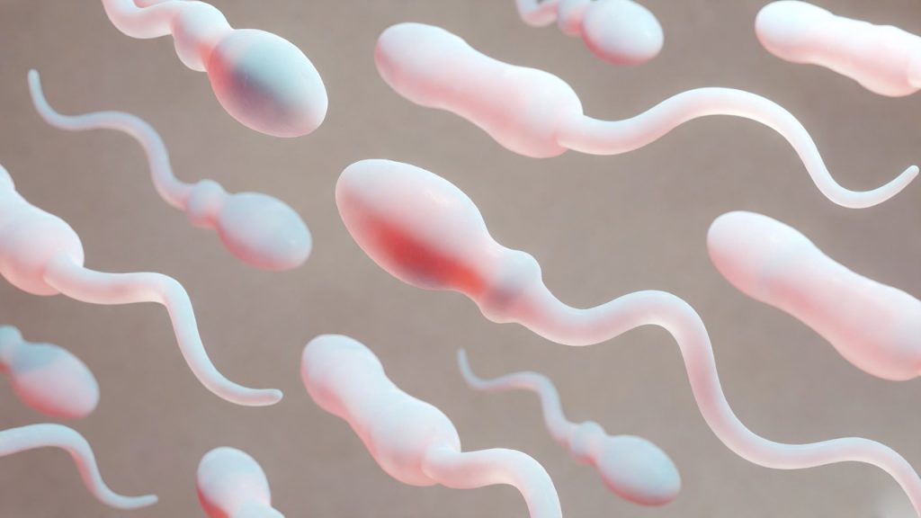 sperma volume verhogen